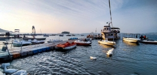 Captivating Places to Visit in Bhopal, National Parks, Wildlife Sanctuaries and Zoological Parks Rife with Fora and Fauna